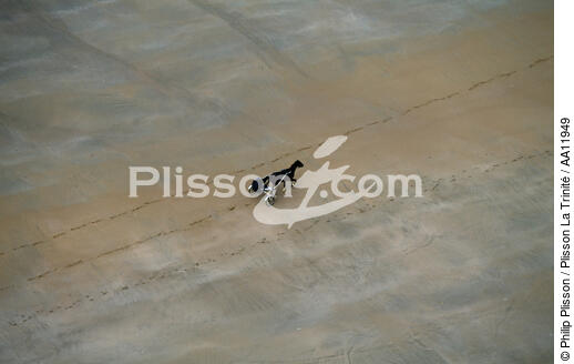 Promenade à cheval sur la plage. - © Philip Plisson / Plisson La Trinité / AA11949 - Nos reportages photos - Mammifère