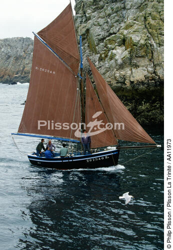 Voilier sur les côtes brestoises. - © Philip Plisson / Plisson La Trinité / AA11973 - Nos reportages photos - Brest