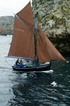 Sailing boat on the coasts of Brest. © Philip Plisson / Plisson La Trinité / AA11973 - Photo Galleries - Rock