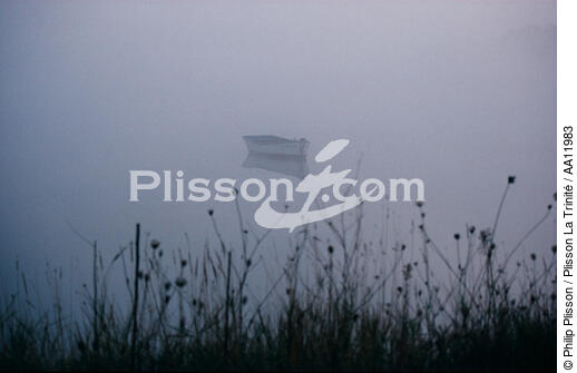 Boat in the fog in the Gulf of Morbihan. - © Philip Plisson / Plisson La Trinité / AA11983 - Photo Galleries - Flora
