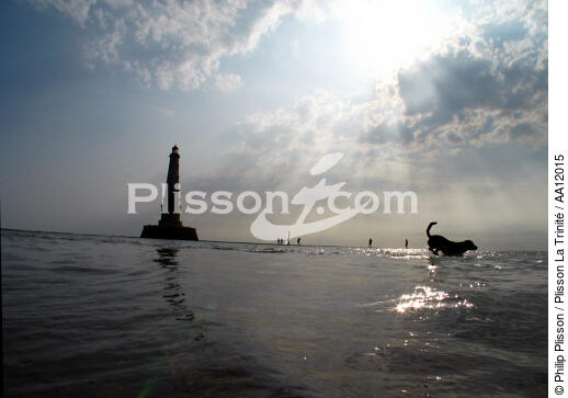 Dog in front of the lighthouse of Cordouan. - © Philip Plisson / Plisson La Trinité / AA12015 - Photo Galleries - Pet