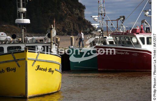 Boats in the port of Alma. - © Philip Plisson / Plisson La Trinité / AA12017 - Photo Galleries - Sailor