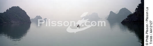 La Baie d'Along dans la brume. - © Philip Plisson / Plisson La Trinité / AA12127 - Nos reportages photos - Site [Vietnam]