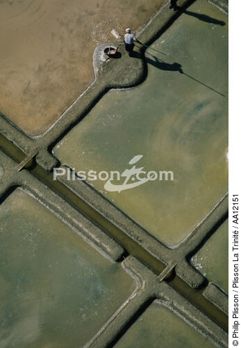 The Guérande Salt Marshes. - © Philip Plisson / Plisson La Trinité / AA12151 - Photo Galleries - Site of Interest [44]