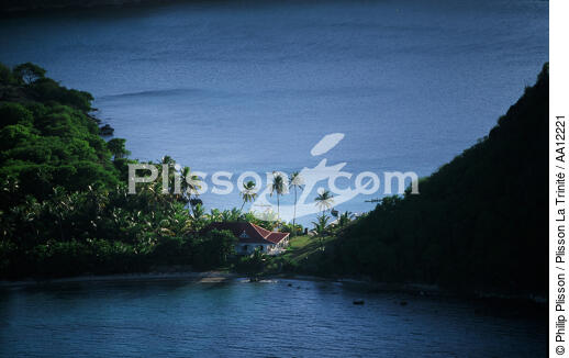  - © Philip Plisson / Plisson La Trinité / AA12221 - Photo Galleries - Flora
