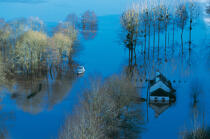 Flood near Redon. © Philip Plisson / Plisson La Trinité / AA12228 - Photo Galleries - Flood