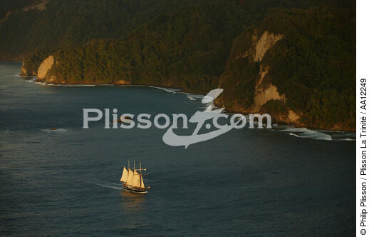  - © Philip Plisson / Plisson La Trinité / AA12249 - Photo Galleries - Three-masted schooner