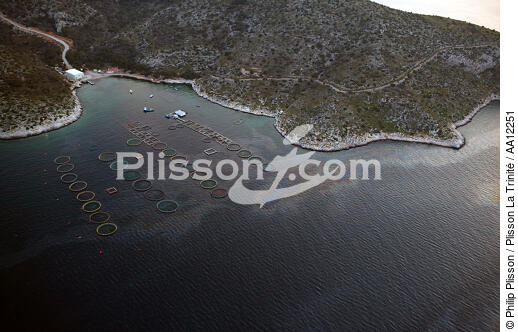 Pollution close to a aquacole farm. - © Philip Plisson / Plisson La Trinité / AA12251 - Photo Galleries - Greece