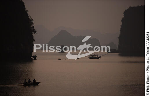 Bay of Along, Vietnam. - © Philip Plisson / Plisson La Trinité / AA12261 - Photo Galleries - Site of interest [Vietnam]