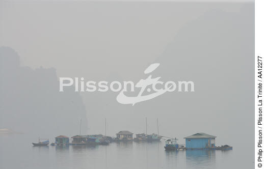 Floating houses in bay of Along. - © Philip Plisson / Plisson La Trinité / AA12277 - Photo Galleries - Ha Long Bay