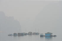 Floating houses in bay of Along. © Philip Plisson / Plisson La Trinité / AA12277 - Photo Galleries - Ha Long Bay