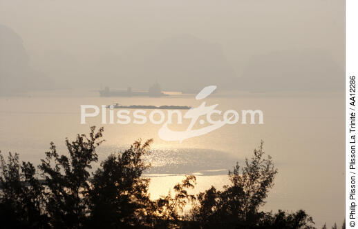 Baie d'Along, Vietnam. - © Philip Plisson / Plisson La Trinité / AA12286 - Nos reportages photos - Vietnam
