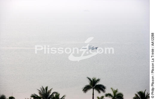 Baie d'Along, Vietnam. - © Philip Plisson / Plisson La Trinité / AA12288 - Nos reportages photos - Palmier