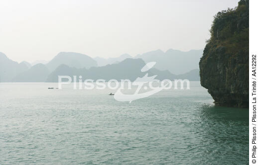The Along bay - © Philip Plisson / Plisson La Trinité / AA12292 - Photo Galleries - Ha Long Bay