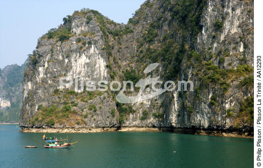The Along bay - © Philip Plisson / Plisson La Trinité / AA12293 - Photo Galleries - Vietnam
