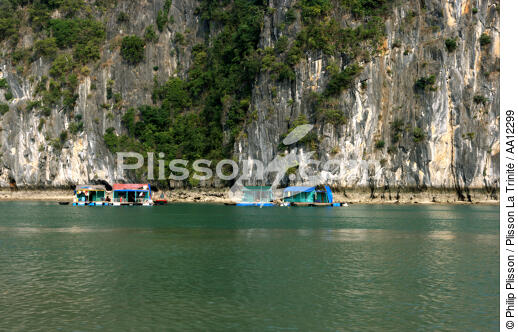 Cliffs in Along bay. - © Philip Plisson / Plisson La Trinité / AA12299 - Photo Galleries - Vietnam