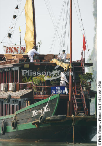 Junk in Along bay. - © Philip Plisson / Plisson La Trinité / AA12300 - Photo Galleries - Ha Long Bay