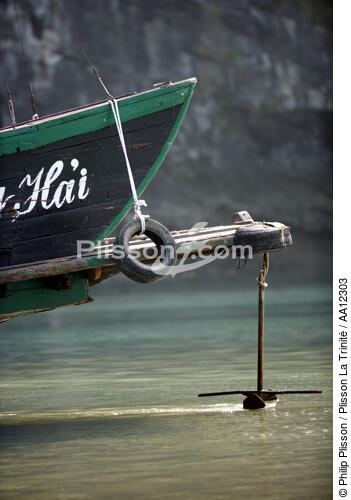 Falaises de la baie d'Along. - © Philip Plisson / Plisson La Trinité / AA12303 - Nos reportages photos - Vietnam