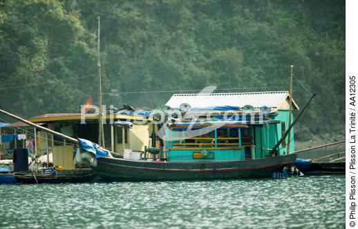 Maisons flottantes dans la baie d'Along. - © Philip Plisson / Plisson La Trinité / AA12305 - Nos reportages photos - Vietnam