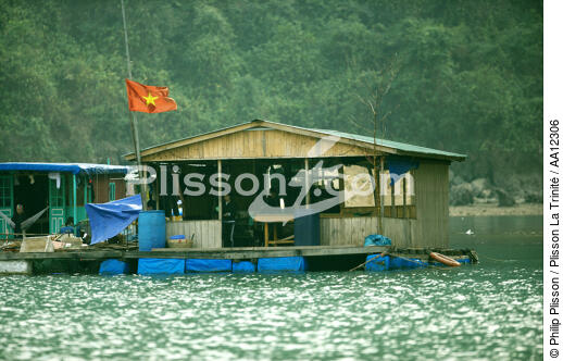 Floating houses in Along bay. - © Philip Plisson / Plisson La Trinité / AA12306 - Photo Galleries - Ha Long Bay