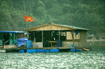 Maisons flottantes dans la baie d'Along. © Philip Plisson / Plisson La Trinité / AA12306 - Nos reportages photos - Site [Vietnam]