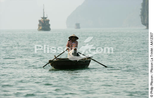 Barque dans la baie d'Along. - © Philip Plisson / Plisson La Trinité / AA12307 - Nos reportages photos - Vietnam
