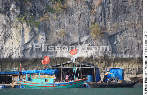 Floating houses in Along bay. - © Philip Plisson / Plisson La Trinité / AA12310 - Photo Galleries - Vietnam