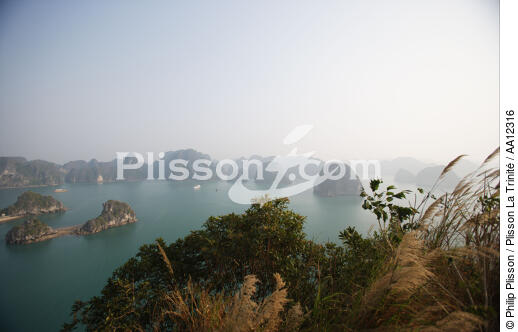The Along bay. - © Philip Plisson / Plisson La Trinité / AA12316 - Photo Galleries - Ha Long Bay