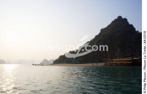 The Along bay. - © Philip Plisson / Plisson La Trinité / AA12318 - Photo Galleries - Site of interest [Vietnam]