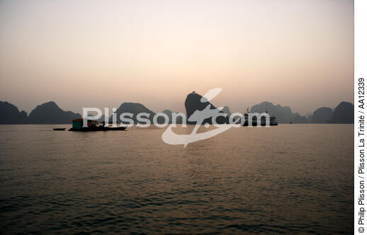 L'Emeraude dans la baie d'Along.. - © Philip Plisson / Plisson La Trinité / AA12339 - Nos reportages photos - Site [Vietnam]