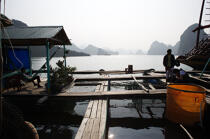 Village de pêcheurs vietnamiens. © Philip Plisson / Plisson La Trinité / AA12365 - Nos reportages photos - Baie d'Along