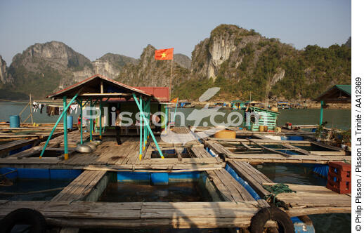 Village de pêcheurs vietnamien. - © Philip Plisson / Plisson La Trinité / AA12369 - Nos reportages photos - Baie d'Along