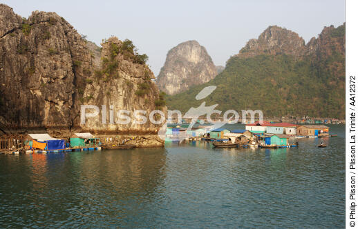Village de pêcheurs vietnamien. - © Philip Plisson / Plisson La Trinité / AA12372 - Nos reportages photos - Maison flottante