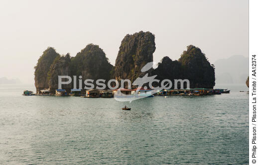 Ile dans la Baie d'Along. - © Philip Plisson / Plisson La Trinité / AA12374 - Nos reportages photos - Site [Vietnam]