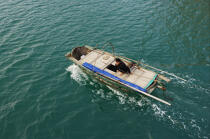 Small boat in Along Bay © Philip Plisson / Plisson La Trinité / AA12377 - Photo Galleries - Man