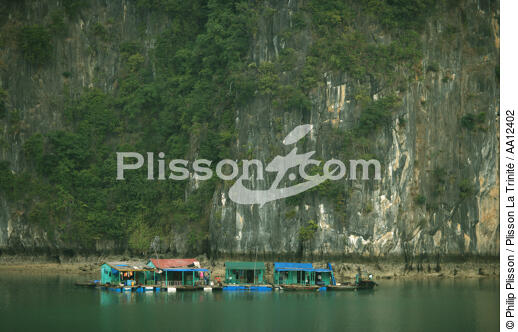 Grouping of dwellings to the feet of the mountains of Along Bay. - © Philip Plisson / Plisson La Trinité / AA12402 - Photo Galleries - Ha Long Bay