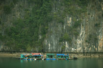 Grouping of dwellings to the feet of the mountains of Along Bay. © Philip Plisson / Plisson La Trinité / AA12402 - Photo Galleries - Ha Long Bay