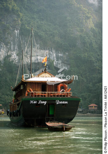 The bow of a junk in Along. - © Philip Plisson / Plisson La Trinité / AA12421 - Photo Galleries - Site of interest [Vietnam]