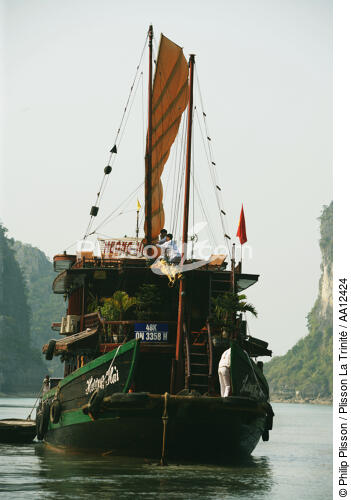 Bow of a junk in Along Bay. - © Philip Plisson / Plisson La Trinité / AA12424 - Photo Galleries - Vietnam