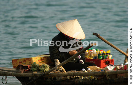 Travelling commercant in Along Bay. - © Philip Plisson / Plisson La Trinité / AA12426 - Photo Galleries - Along Bay, Vietnam