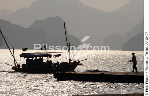 Mooring of a junk in Along Bay. - © Philip Plisson / Plisson La Trinité / AA12427 - Photo Galleries - Vietnam
