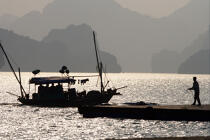 Amarrage d'une jonque dans la baie d'Along © Philip Plisson / Plisson La Trinité / AA12427 - Nos reportages photos - Vietnam