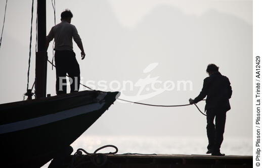 Amarrage d'une jonque dans la baie d'Along - © Philip Plisson / Plisson La Trinité / AA12429 - Nos reportages photos - Vietnam