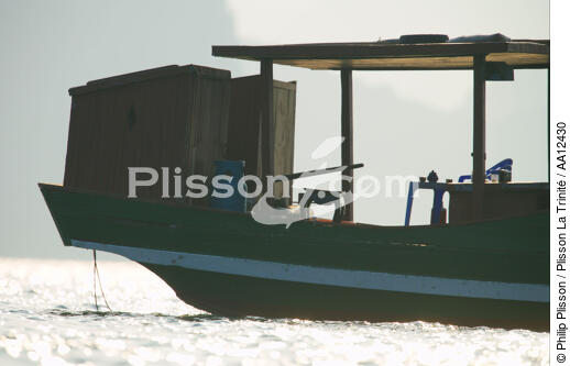 Coque d'une jonque dans la baie d'Along - © Philip Plisson / Plisson La Trinité / AA12430 - Nos reportages photos - Vietnam