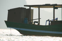 Hull of a junk in Along Bay. © Philip Plisson / Plisson La Trinité / AA12430 - Photo Galleries - Ha Long Bay