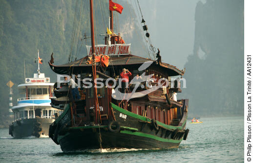 Etrave d'une jonque dans la baie d'Along - © Philip Plisson / Plisson La Trinité / AA12431 - Nos reportages photos - Vietnam