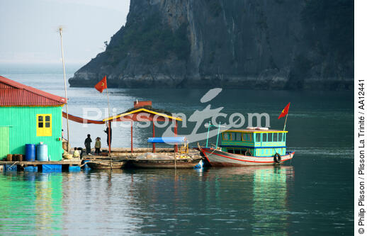 Dwelling in Along Bay. - © Philip Plisson / Plisson La Trinité / AA12441 - Photo Galleries - Vietnam
