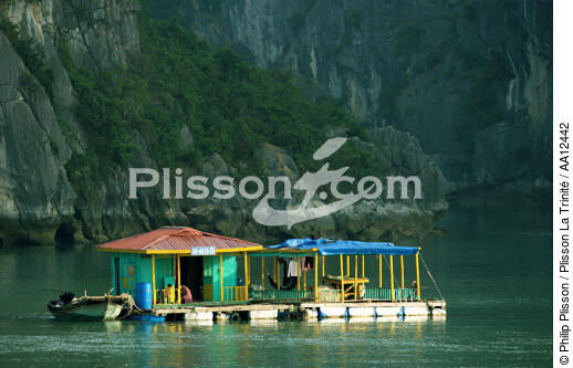 Habitation dans la baie d'Along. - © Philip Plisson / Plisson La Trinité / AA12442 - Nos reportages photos - Vietnam
