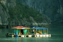 Habitation dans la baie d'Along. © Philip Plisson / Plisson La Trinité / AA12442 - Nos reportages photos - Site [Vietnam]