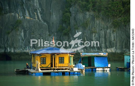 Dwelling in Along Bay. - © Philip Plisson / Plisson La Trinité / AA12443 - Photo Galleries - Ha Long Bay